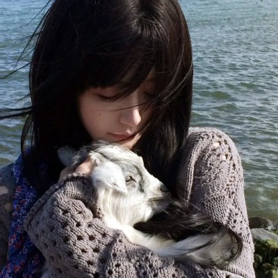 百花艳舞 海报